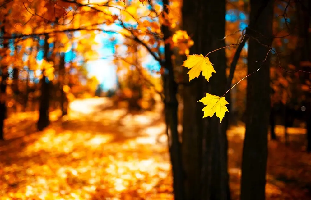 Краків — фото до туру «Краківський Вояж!»