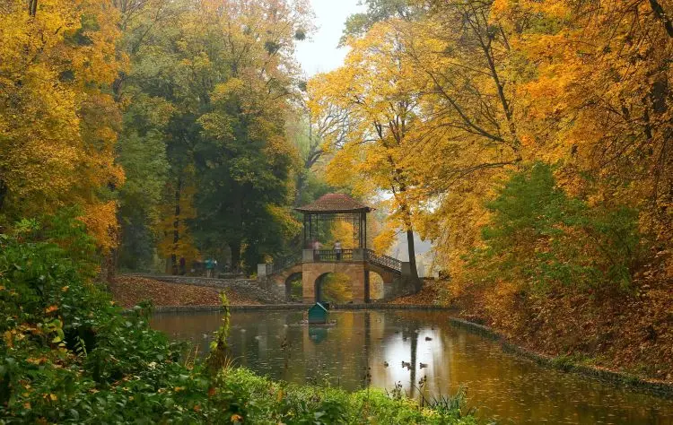Біла Церква: місто, парк, концерт