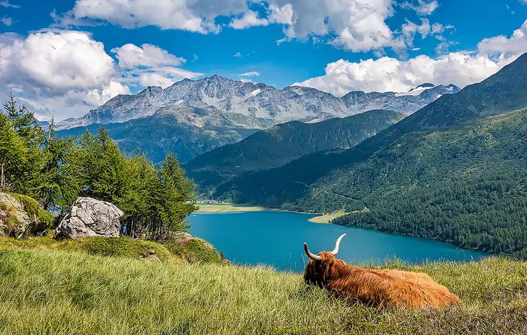ЇЇ звати Швейцарія Люцерн, Цюрих, Берн, Женева