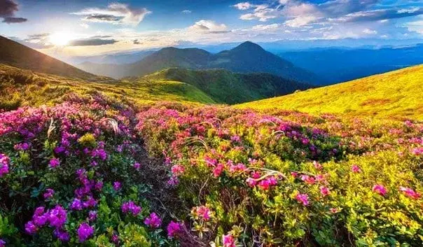 Сходження у гори Карпати!⛰