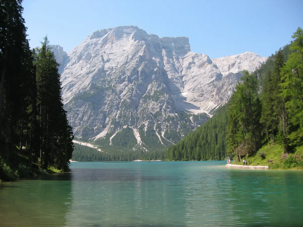 Браєс